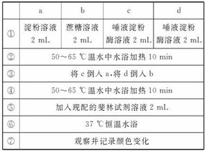 酶温度设计方案[酶 温度]