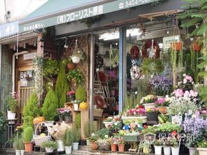 市场花店设计方案[市场花店设计方案模板]