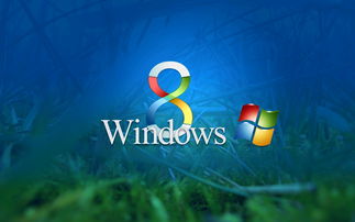 系统windows8(系统window11) 20240423更新