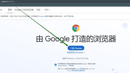 google浏览器中文版(简体中文谷歌浏览器) 20240426更新