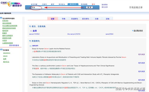 金山翻译在线翻译英语(金山翻译在线英语下载) 20240506更新