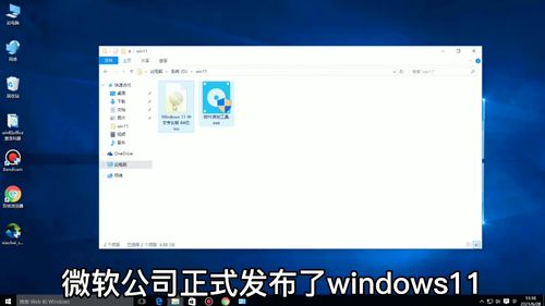 正版windows11多少钱(windows 11多少钱) 20240522更新