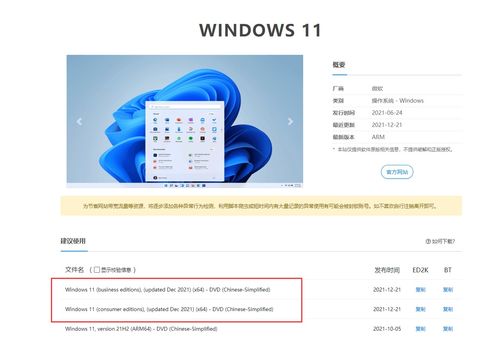 win11官网制作u盘启动盘(windows11制作启动盘) 20240522更新