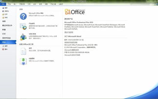 office2010密钥激活就永久(office 2010 standard激活密钥) 20240529更新