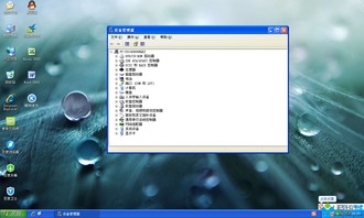 如何安装windowsxp系统(怎样安装windowsxp) 20240605更新