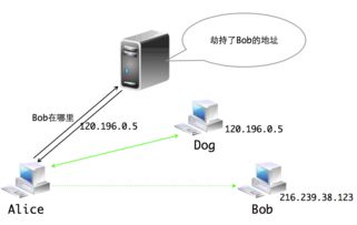 dns服务器地址大全(dns的服务器地址填什么) 20240610更新