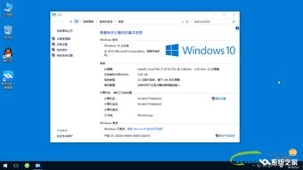 系统之家一键重装系统win10(系统之家一键重装系统win7) 20240610更新