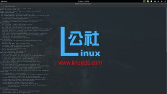 linux漏洞扫描工具(linux漏洞检测工具) 20240613更新