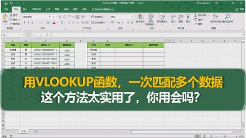 vlookup函数的作用(excel的vlookup函数的作用) 20240707更新