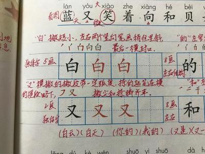 查生字手写输入(扫一扫识字)