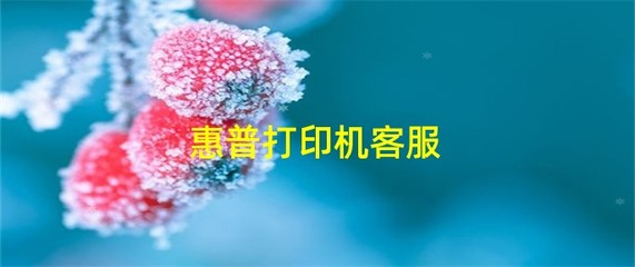 惠普打印机人工客服(惠普人工服务电话24小时)