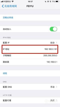 个人手机ip地址怎么查询(手机自己的ip地址查询)