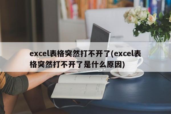 excel表格突然打不开了(excel表格突然打不开了是什么原因) 20240715更新