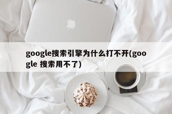 google搜索引擎为什么打不开(google 搜索用不了) 20240720更新