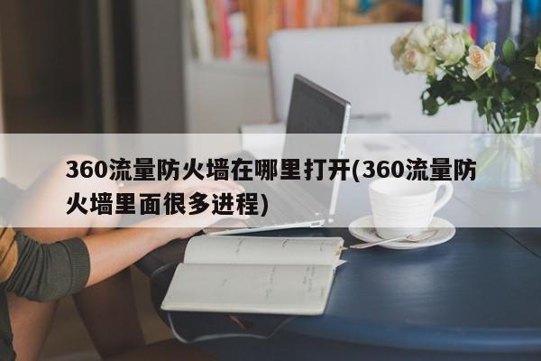 360流量防火墙在哪里打开(360流量防火墙里面很多进程) 20240720更新