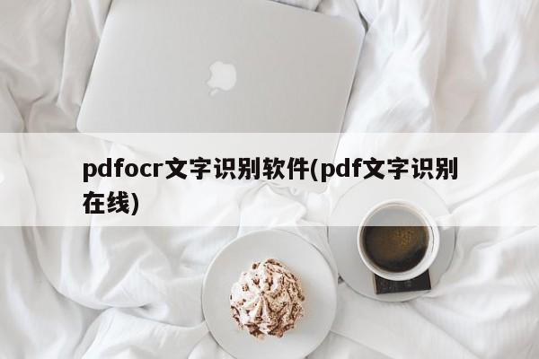 pdfocr文字识别软件(pdf文字识别在线) 20240724更新