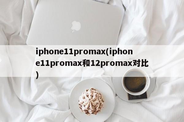 iphone11promax(iphone11promax和12promax对比) 20240724更新