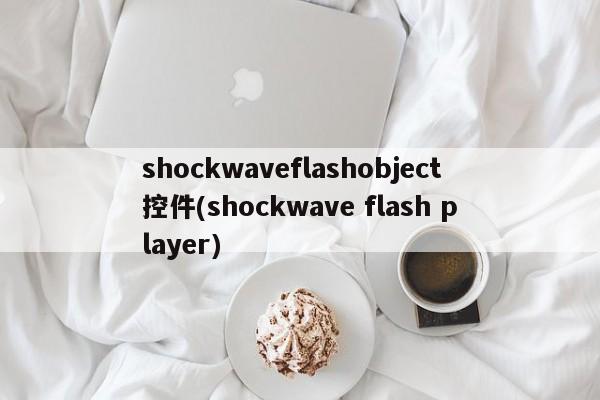 shockwaveflashobject控件(shockwave flash player)